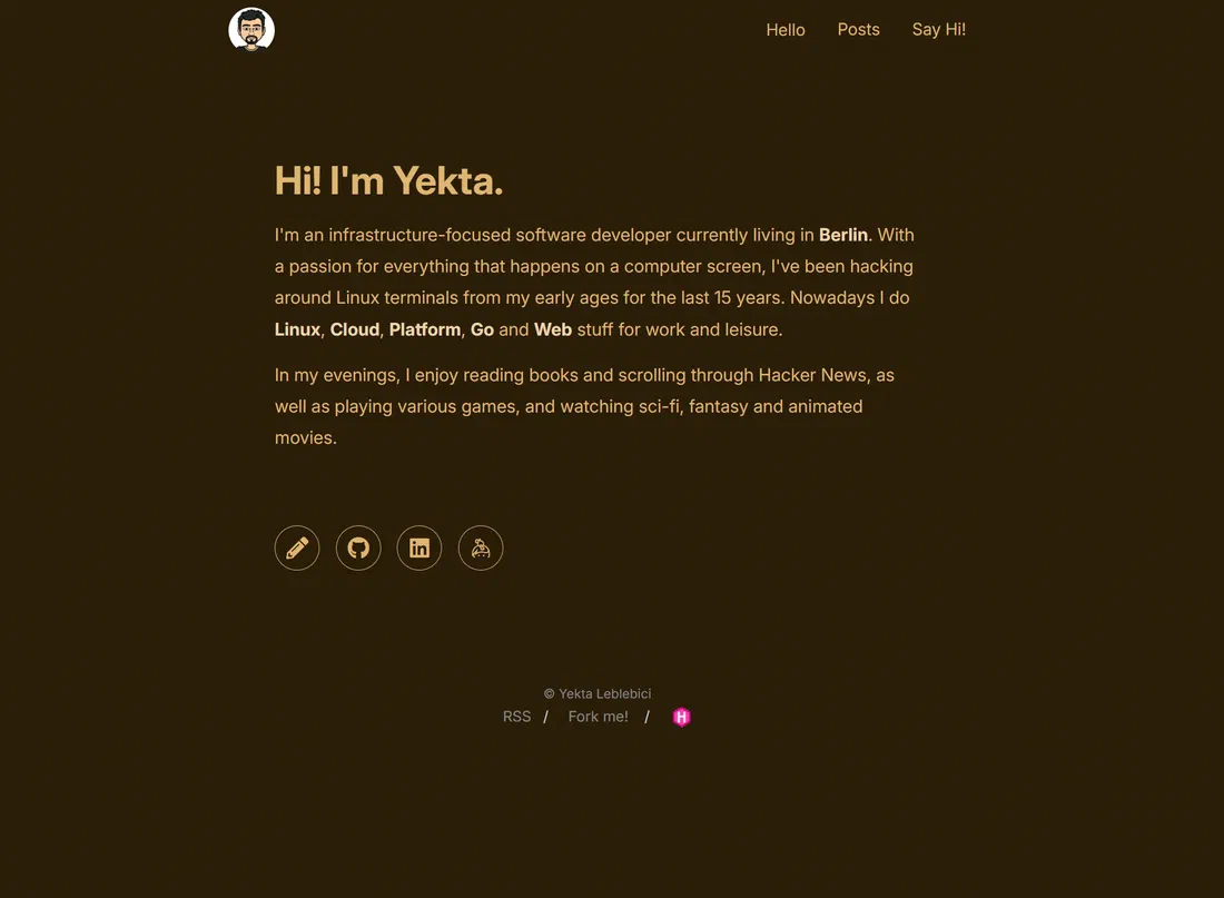 Design of my website from 2019 until today. Modified version of Lithium theme.